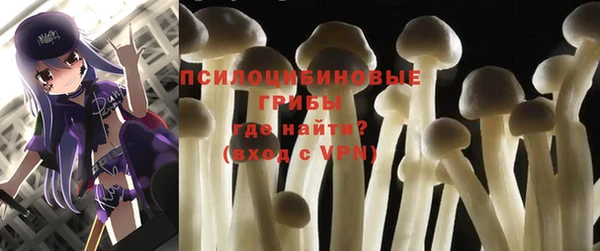mdpv Алексин